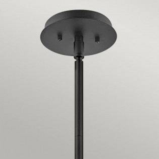 Pendant Lamp Lotus