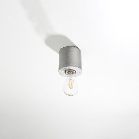 Lion cement surface spotlight