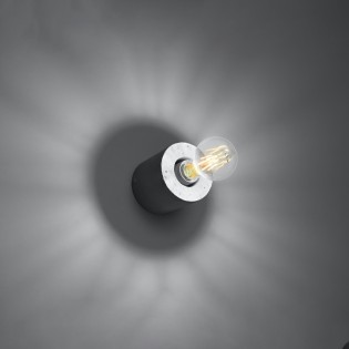 Lion cement wall light