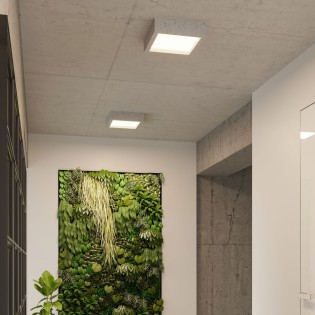 Voni cement ceiling light
