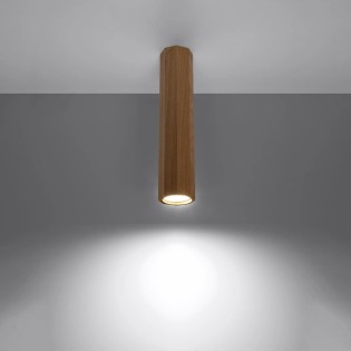 Surface spotlight Aslu 30