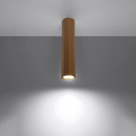 Surface spotlight Aslu 30