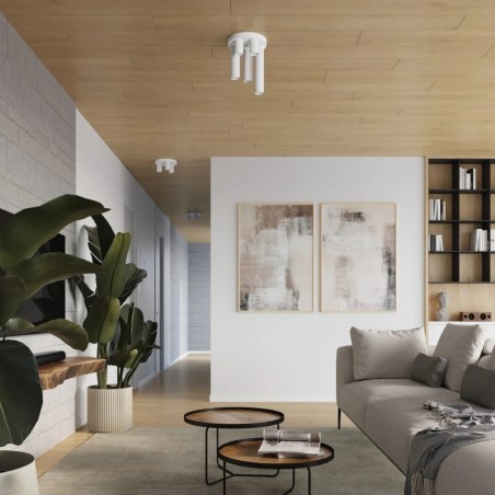 Ceiling light Vaza, white, 3 lights
