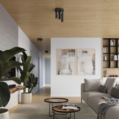 Ceiling light Vaza, black, 3 lights
