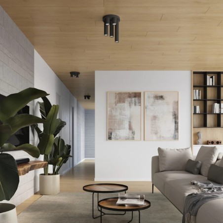 Ceiling light Vaza, black, 5 lights