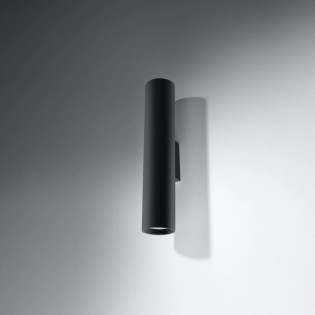 Wall light Vaza, black, 2 lights