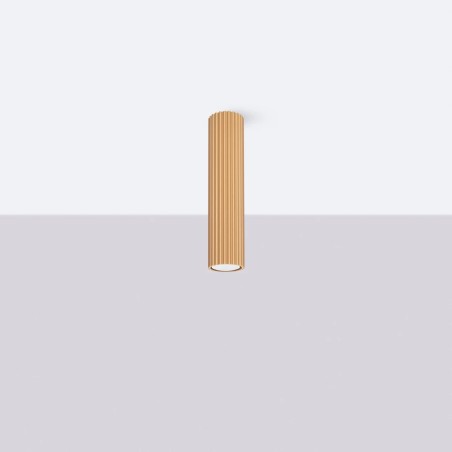 Surface spotlight Moto gold 30