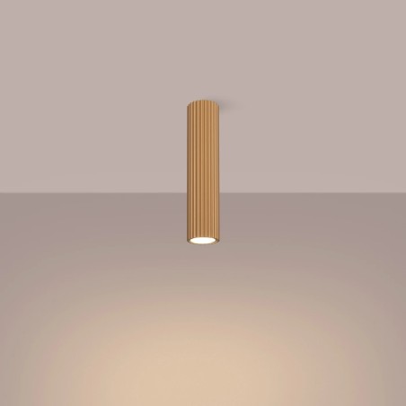 Surface spotlight Moto gold 30