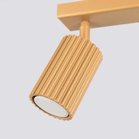 Track light Moto, gold, 2 lights