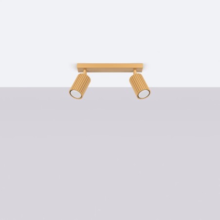 Track light Moto, gold, 2 lights