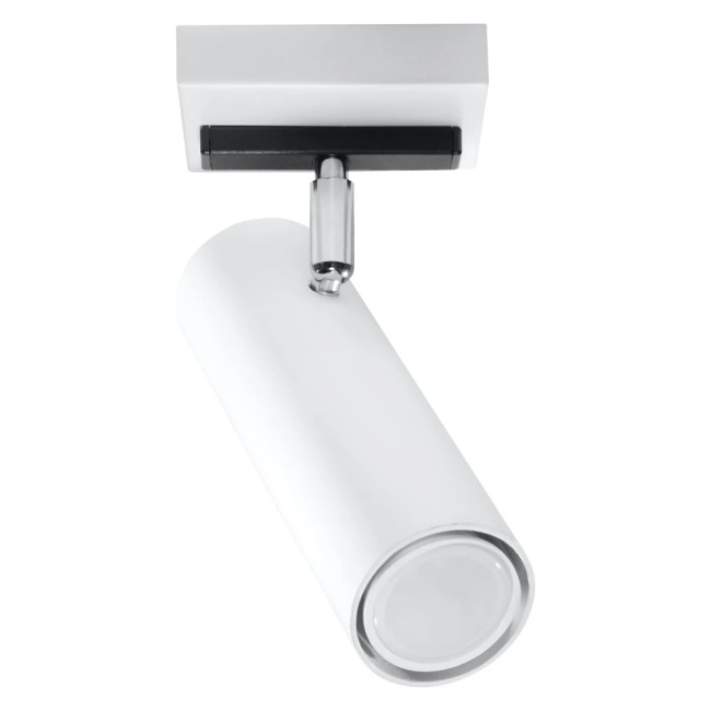 Zani spotlight, white, 1 light