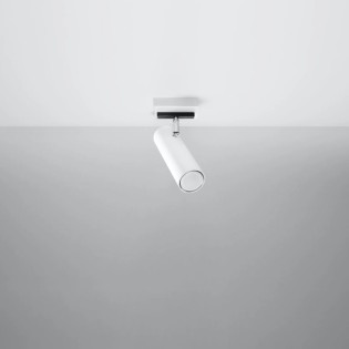 Zani spotlight, white, 1 light