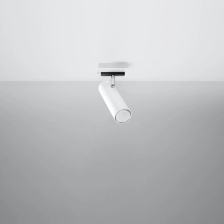 Zani spotlight, white, 1 light