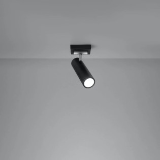 Zani spotlight, black, 1 light