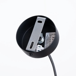Pendant lamp Zovolu, black, 1 light