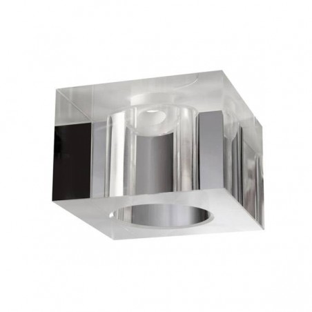 Tulipa Cubo transparente
