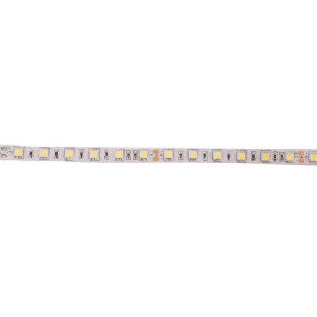 Tira LED 300 x SMD5050 14,4W/M 24VDC IP20 5M x 5M-Blanco FrÃ­o