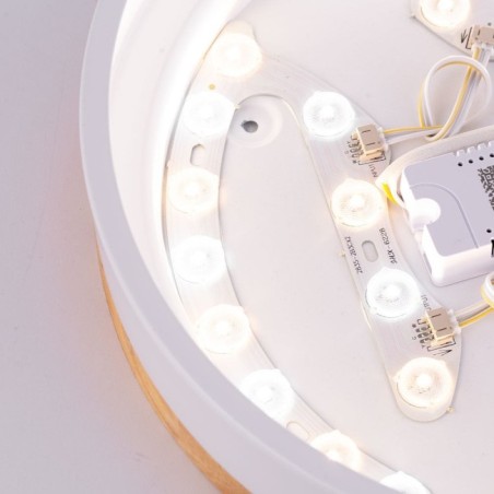 24W LED Ceiling Light 2493Lm with Remote and CCT Control