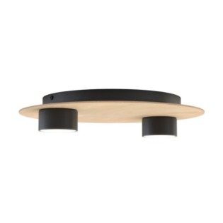Jeru black ceiling lamp (2 lights)