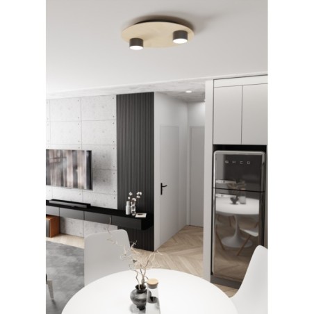 Jeru black ceiling lamp (2 lights)