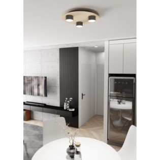 Jeru black ceiling lamp (3 lights)