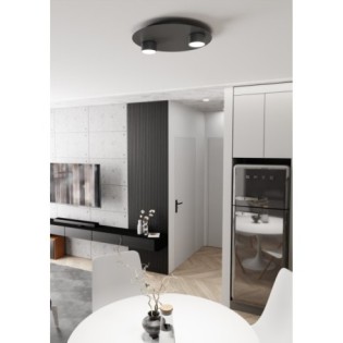 Qeri black ceiling lamp (2 lights)