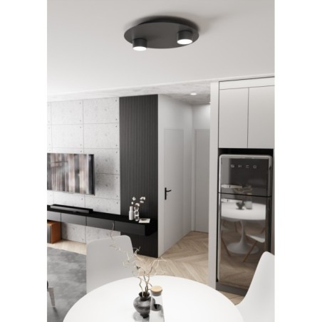 Qeri black ceiling lamp (2 lights)