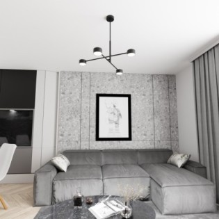 Feru black ceiling lamp (4 lights)