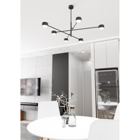 Feru black ceiling lamp (6 lights)