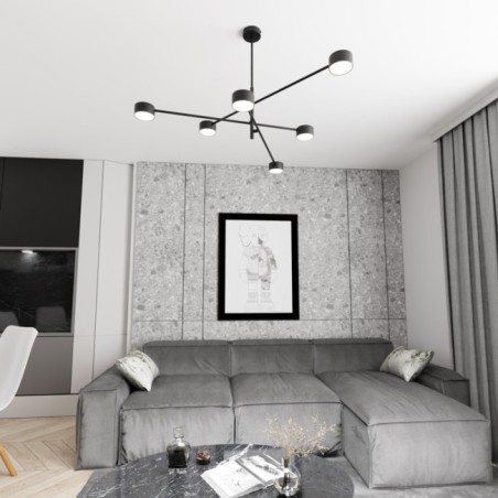 Feru black ceiling lamp (6 lights)