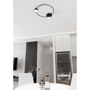 Black Peacock Ceiling Lamp (2 lights)