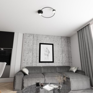 Black Peacock Ceiling Lamp (2 lights)