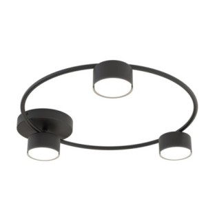 Black Peacock Ceiling Lamp (3 lights)