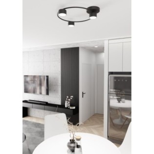 Black Peacock Ceiling Lamp (3 lights)