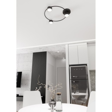 Black Peacock Ceiling Lamp (3 lights)