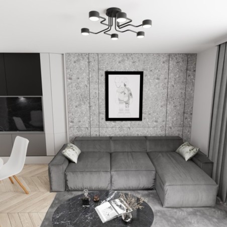 Xuli black ceiling lamp (6 lights)