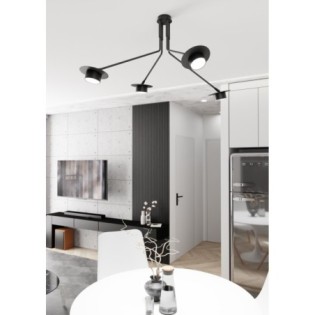 Lámpara de techo Tevra negro (4 luces)