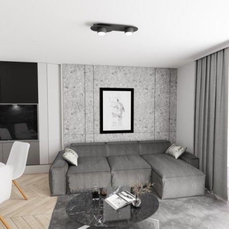 Lámpara de techo Romax negro (2 luces)