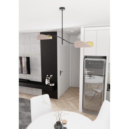 Norgi Gray Ceiling Lamp (2 lights)