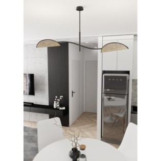 Norgi black ceiling lamp (2 lights)