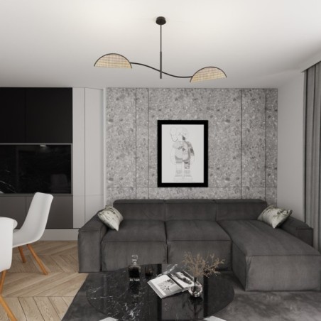 Norgi black ceiling lamp (2 lights)