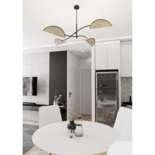 Norgi black ceiling lamp (4 lights)