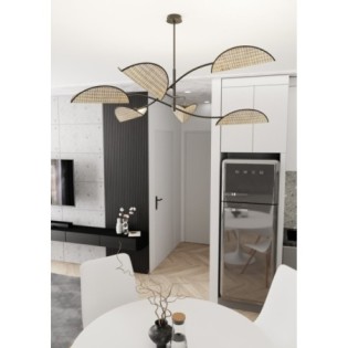 Norgi black ceiling lamp (6 lights)