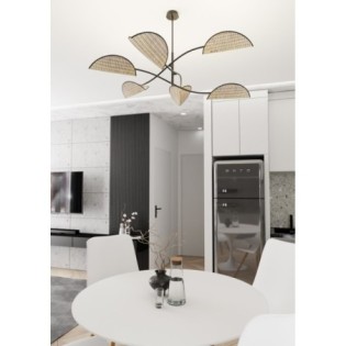 Norgi black ceiling lamp (6 lights)