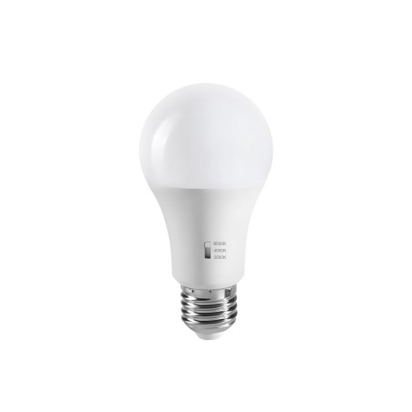 LED Bulb E27 A60 CCT (8W)