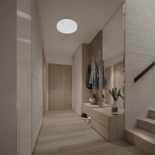 Plafón de techo LED Frozen...