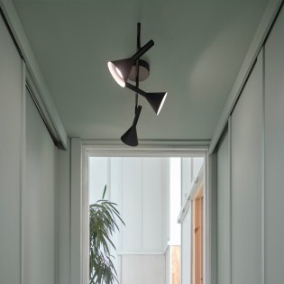 Kelvis ceiling light (3 lights)