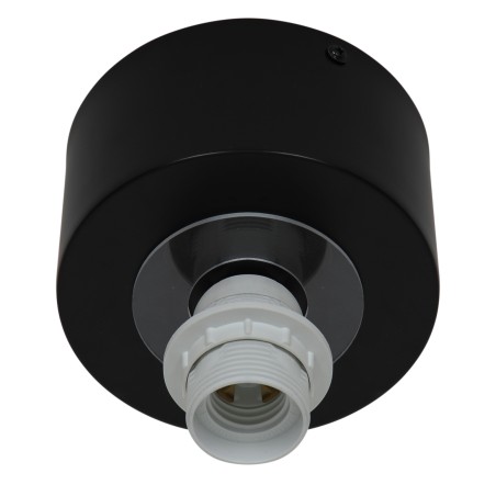 Vivienne ceiling light.