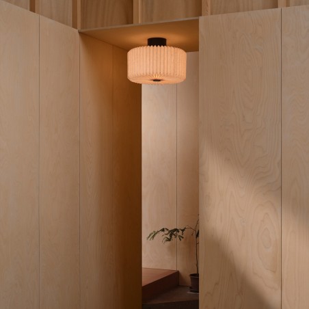 Vivienne ceiling light.