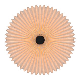 Vivienne ceiling light.